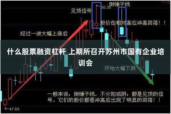 什么股票融资杠杆 上期所召开苏州市国有企业培训会