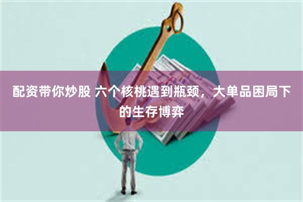 配资带你炒股 六个核桃遇到瓶颈，大单品困局下的生存博弈
