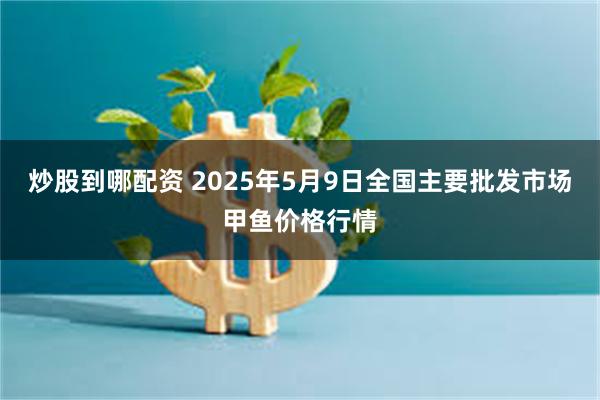 炒股到哪配资 2025年5月9日全国主要批发市场甲鱼价格行情