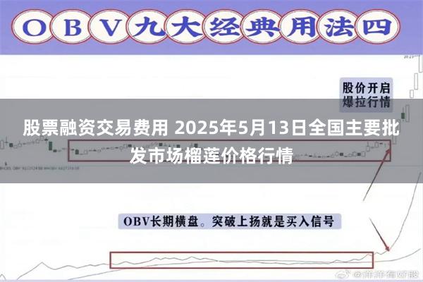 股票融资交易费用 2025年5月13日全国主要批发市场榴莲价格行情