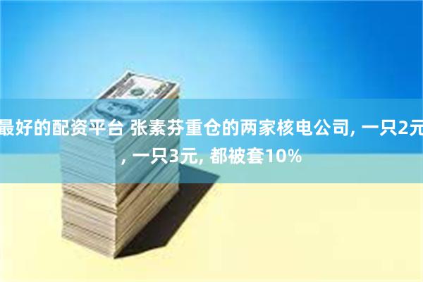 最好的配资平台 张素芬重仓的两家核电公司, 一只2元, 一只3元, 都被套10%