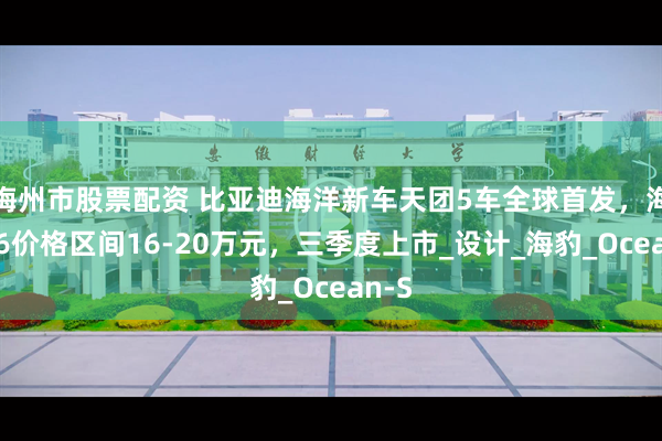 梅州市股票配资 比亚迪海洋新车天团5车全球首发，海狮06价格区间16-20万元，三季度上市_设计_海豹_Ocean-S
