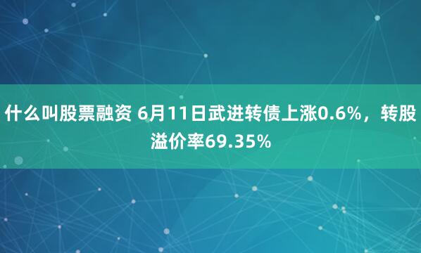 什么叫股票融资 6月11日武进转债上涨0.6%，转股溢价率69.35%