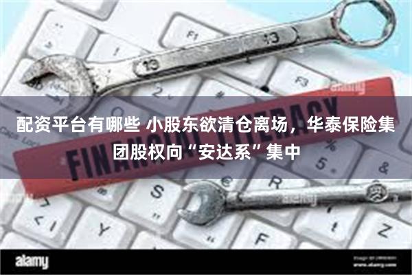 配资平台有哪些 小股东欲清仓离场，华泰保险集团股权向“安达系”集中