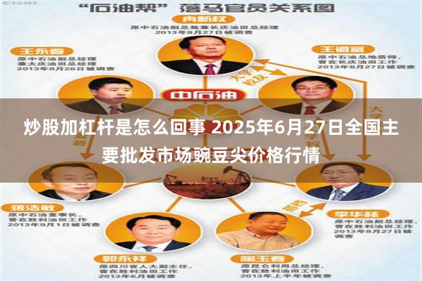炒股加杠杆是怎么回事 2025年6月27日全国主要批发市场豌豆尖价格行情