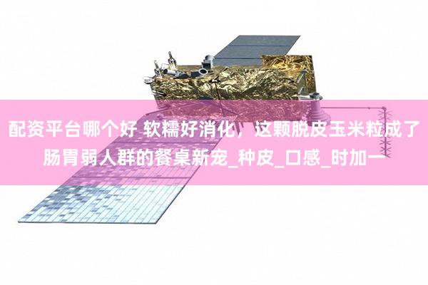 配资平台哪个好 软糯好消化，这颗脱皮玉米粒成了肠胃弱人群的餐桌新宠_种皮_口感_时加一