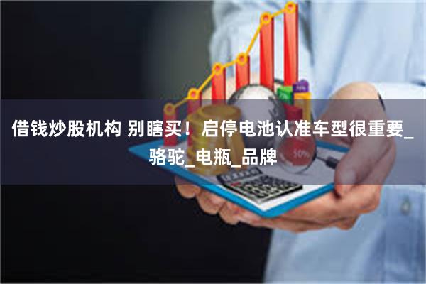 借钱炒股机构 别瞎买！启停电池认准车型很重要_骆驼_电瓶_品牌