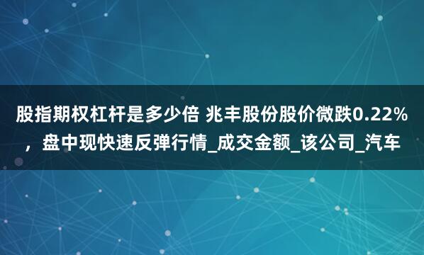 股指期权杠杆是多少倍 兆丰股份股价微跌0.22%，盘中现快速反弹行情_成交金额_该公司_汽车