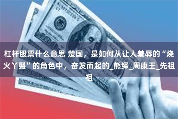 杠杆股票什么意思 楚国，是如何从让人羞辱的“烧火丫鬟”的角色中，奋发而起的_熊绎_周康王_先祖