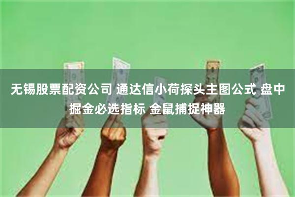 无锡股票配资公司 通达信小荷探头主图公式 盘中掘金必选指标 金鼠捕捉神器