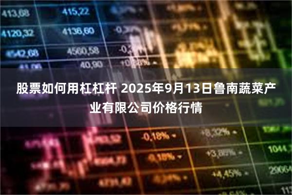 股票如何用杠杠杆 2025年9月13日鲁南蔬菜产业有限公司价格行情